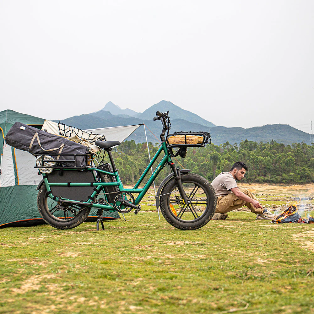 Fiido T2 Longtail Cargo E-bike - Image 5